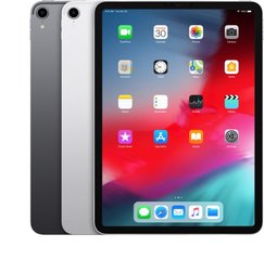 iPad Pro (11-inch)